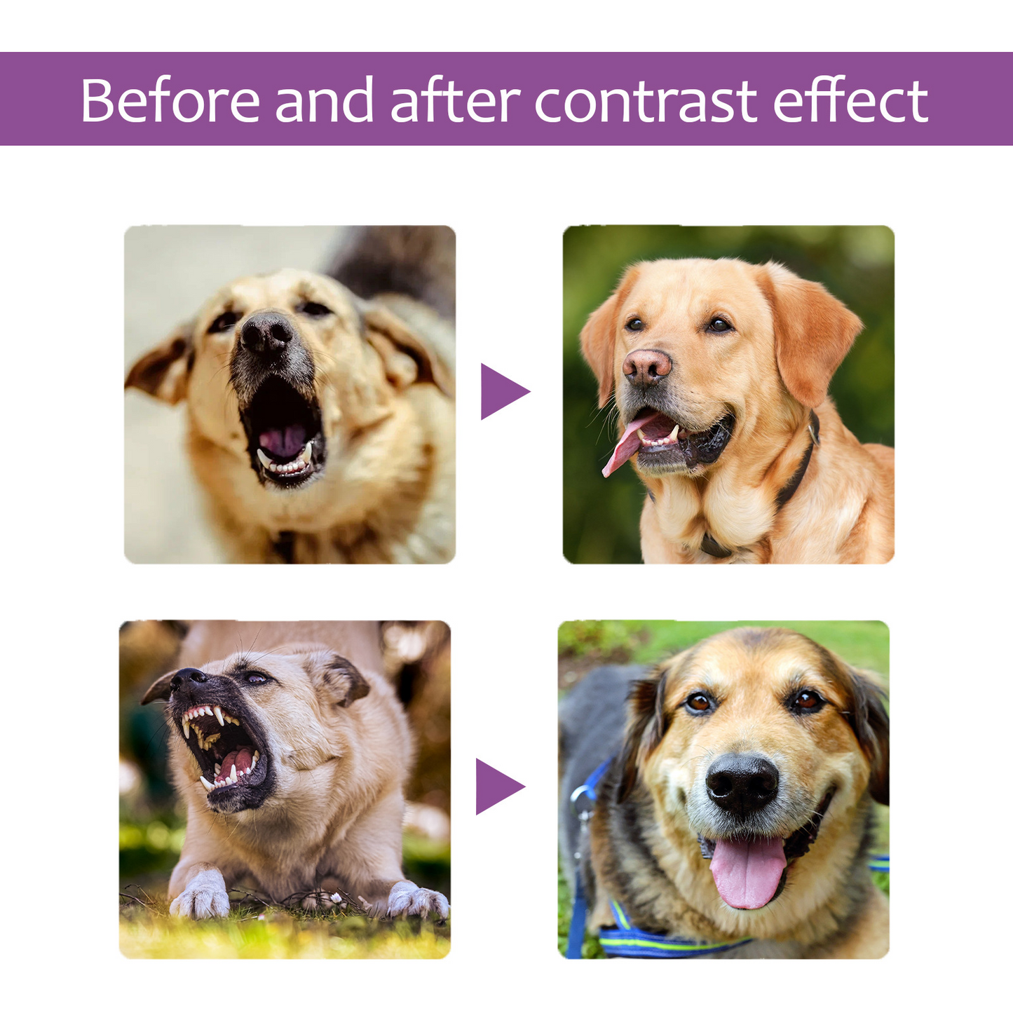 Pet Noise Reduction Calming Spray, Prevent Stress Soothe Pet Calm Mood Reduce Pet Noise Spray