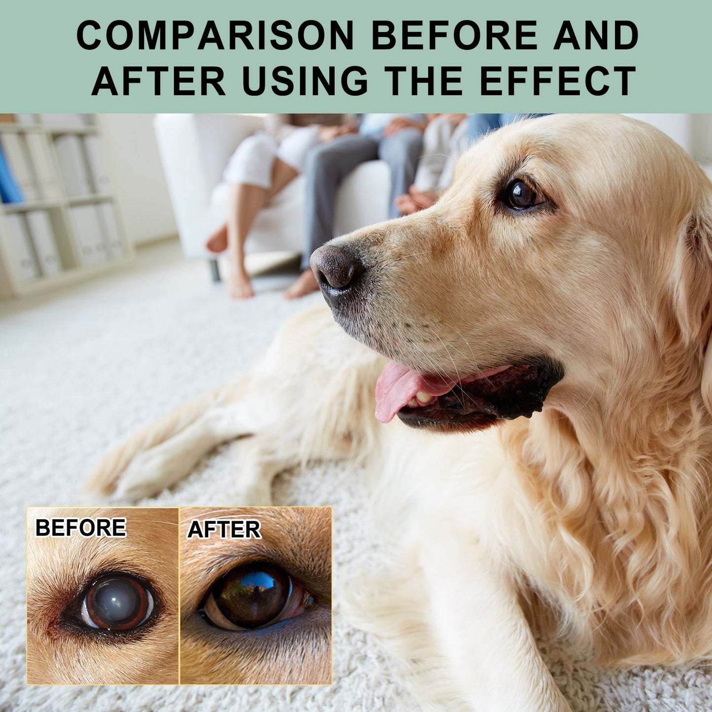 Eye Drops For Cats And Dogs, Pet Eye Clean Eye Care Drops For Tear Stains And Dirt