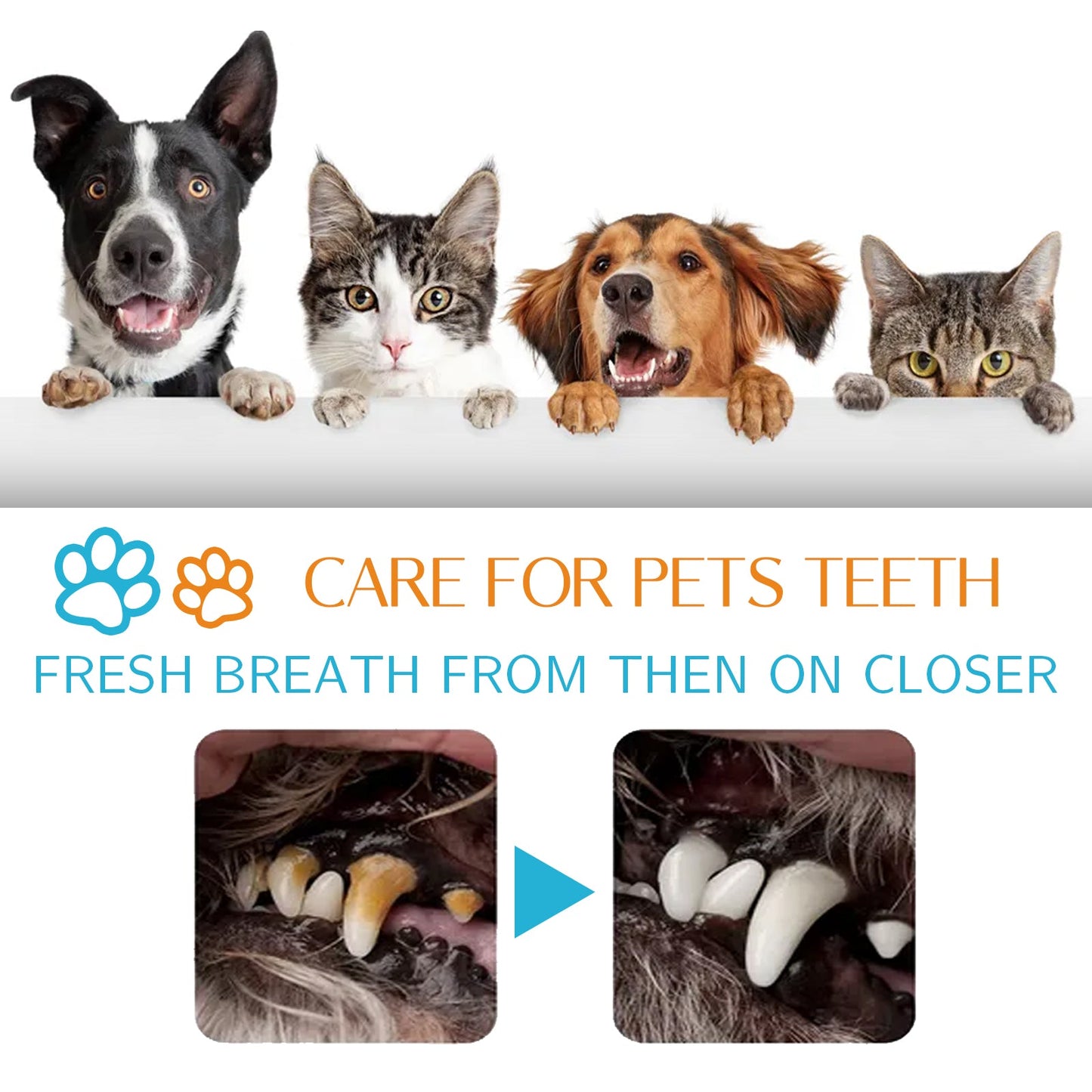 Dog Cat Tooth Cleaning Finger Set, Pet Breath Fresh Remove Tartar Stones Teeth Clean Finger Set