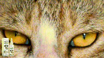 Eye Drops For Cats And Dogs, Pet Eye Clean Eye Care Drops For Tear Stains And Dirt