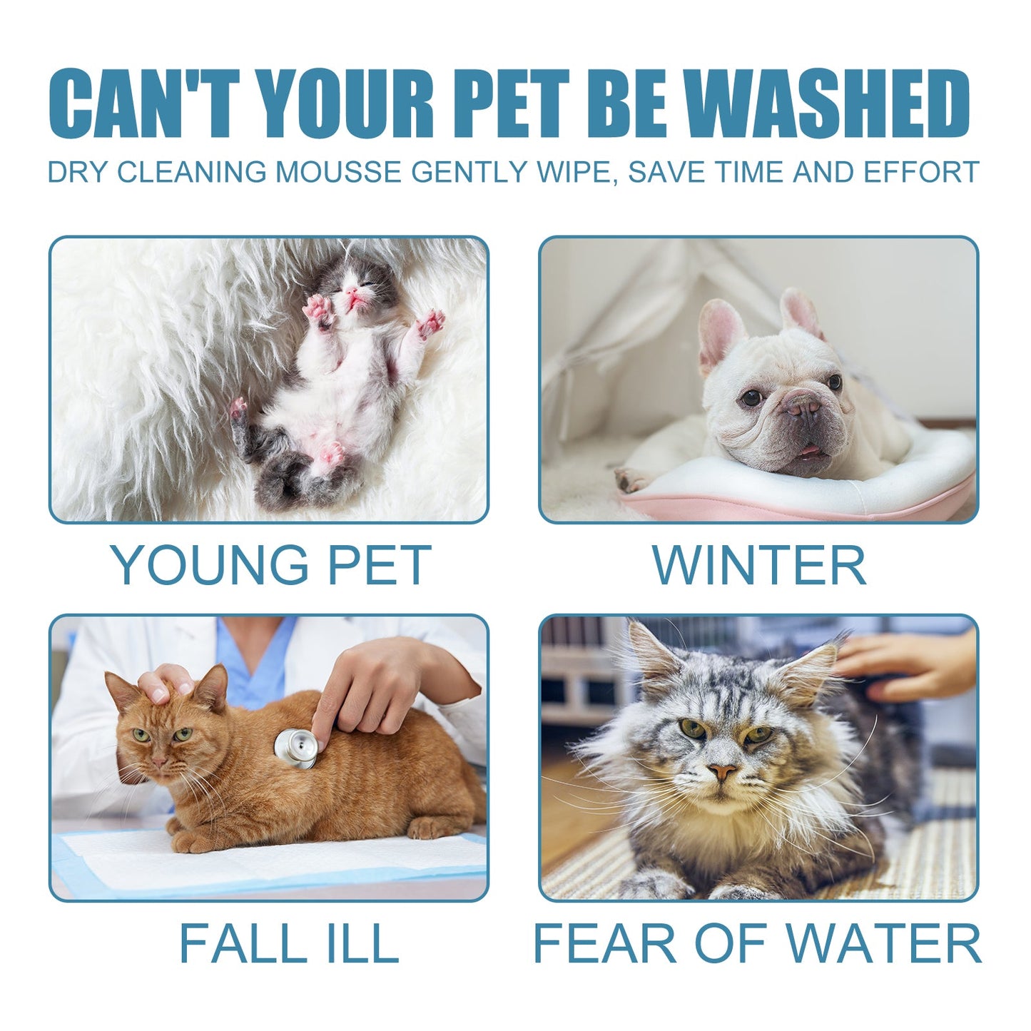 Pet Dry Cleaning Mousse Body Wash For Young Cats And Dogs Wash Free To Remove Odor And Smooth Hair Cleaning
