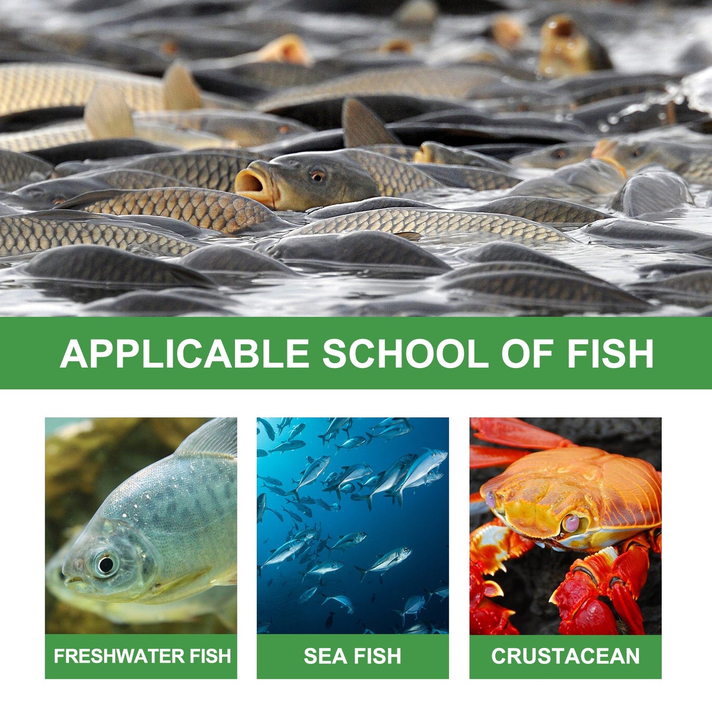 Bait Attractant, Small Medicine Attractant Wild Fishing Bait Bait Fishing Lure Agent Is Expected To Lead Fish